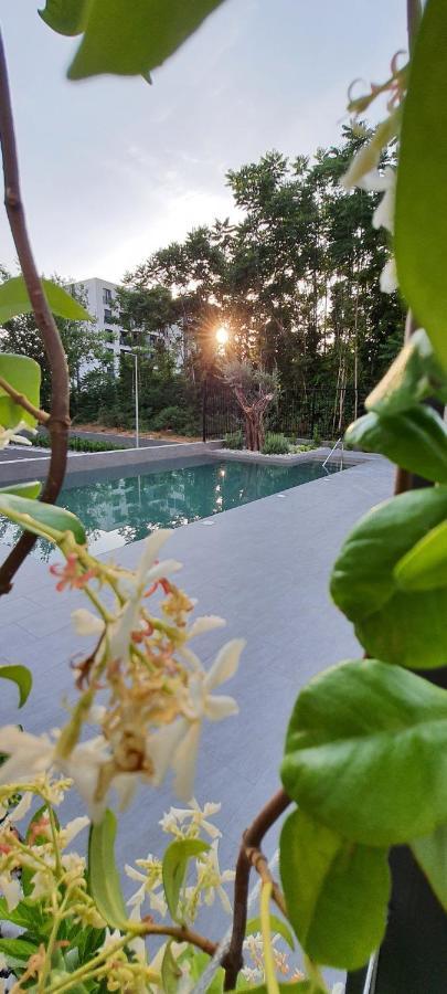 Luxury Apartment Stefanija 蒂瓦特 外观 照片
